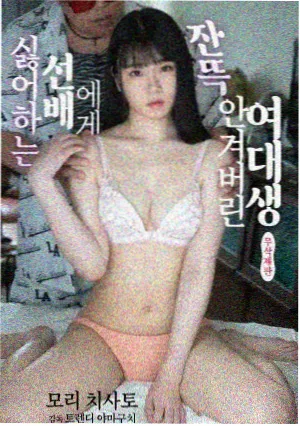 山脊之上纪录片封面